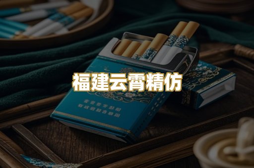 福建云霄精仿